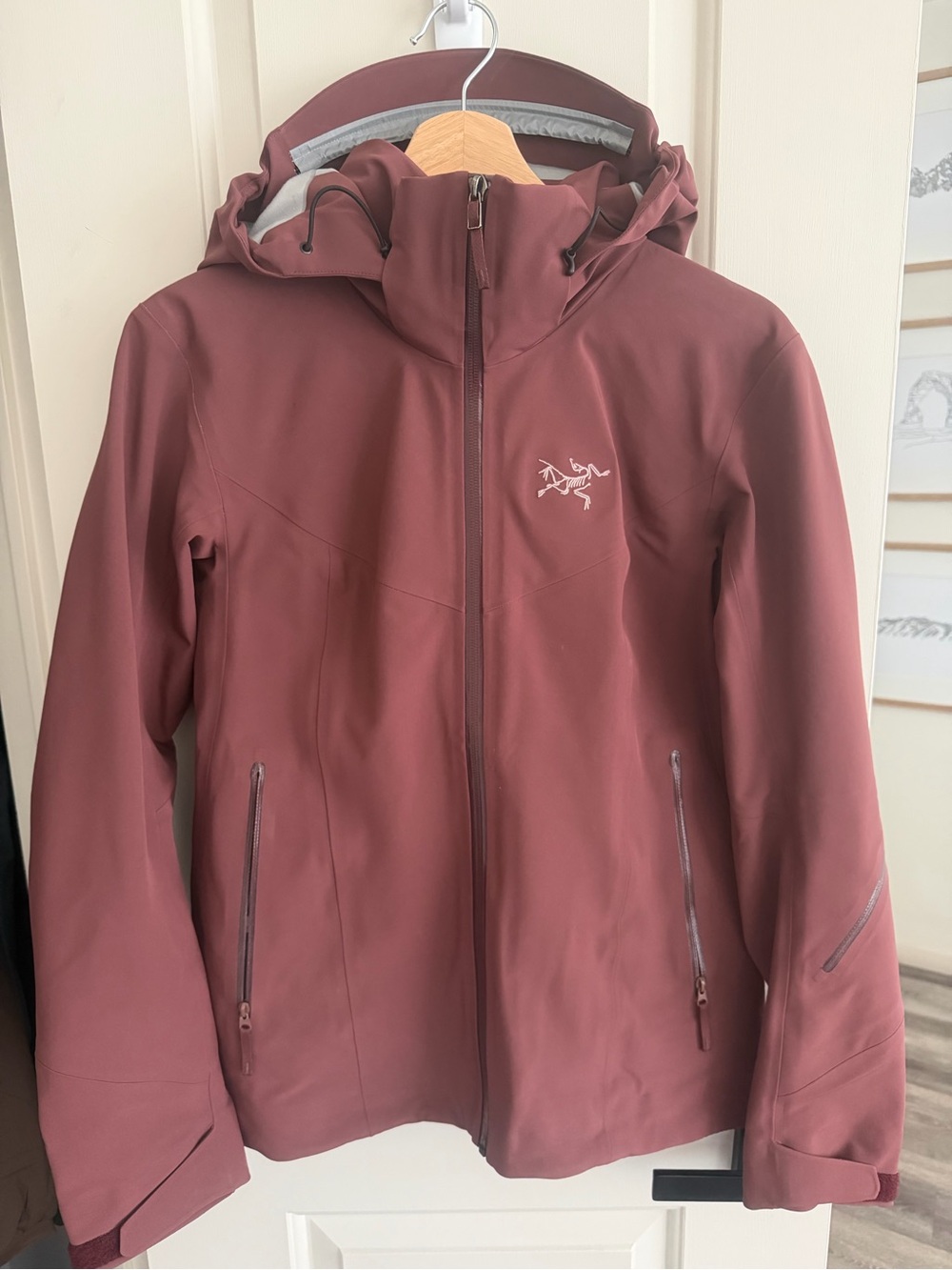 Arc'teryx Women's Ravenna Gore-Tex Ski Jacket in Mauve